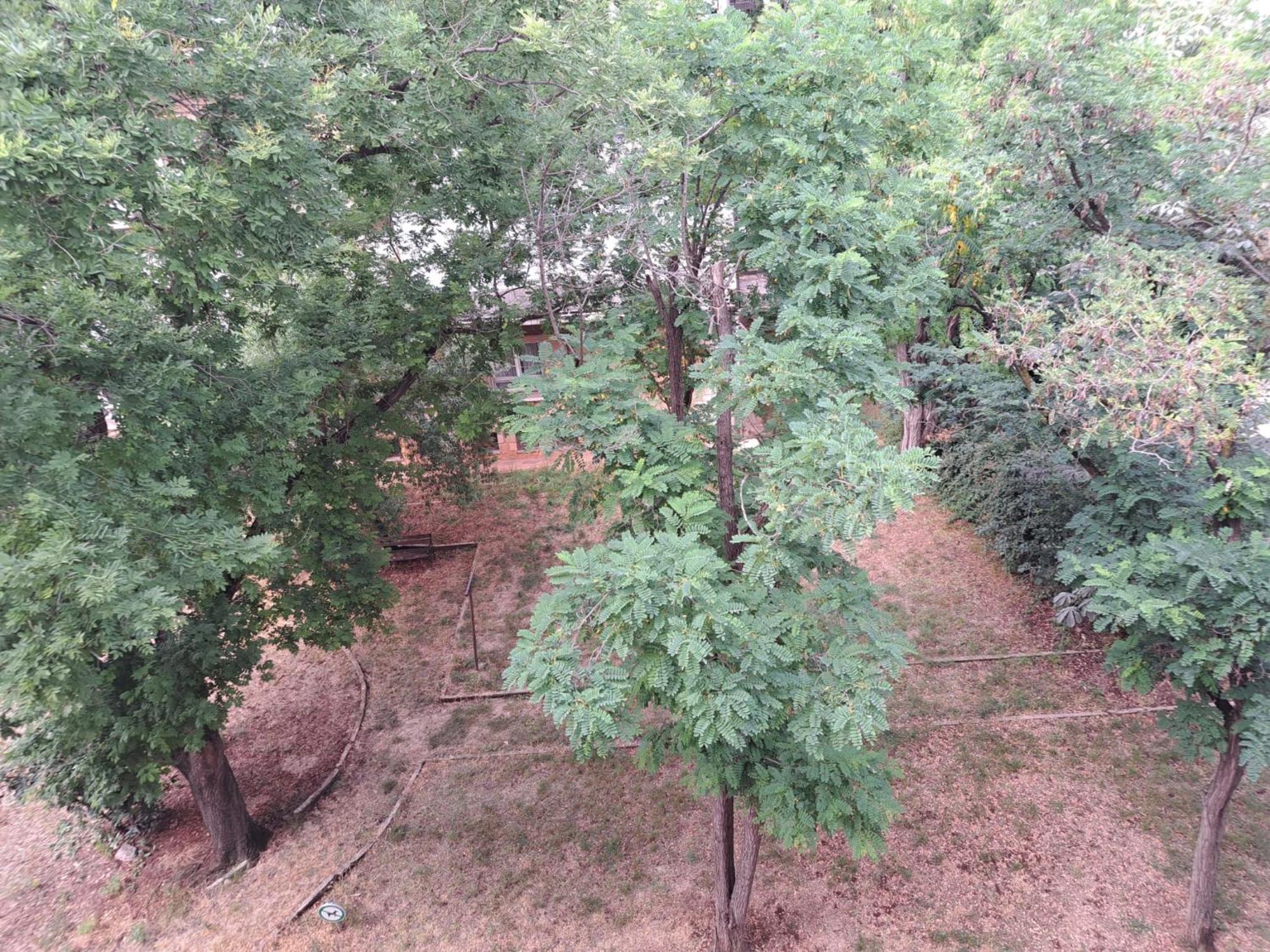 Koko Apartament *